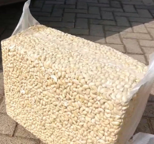 Cashew Nut
