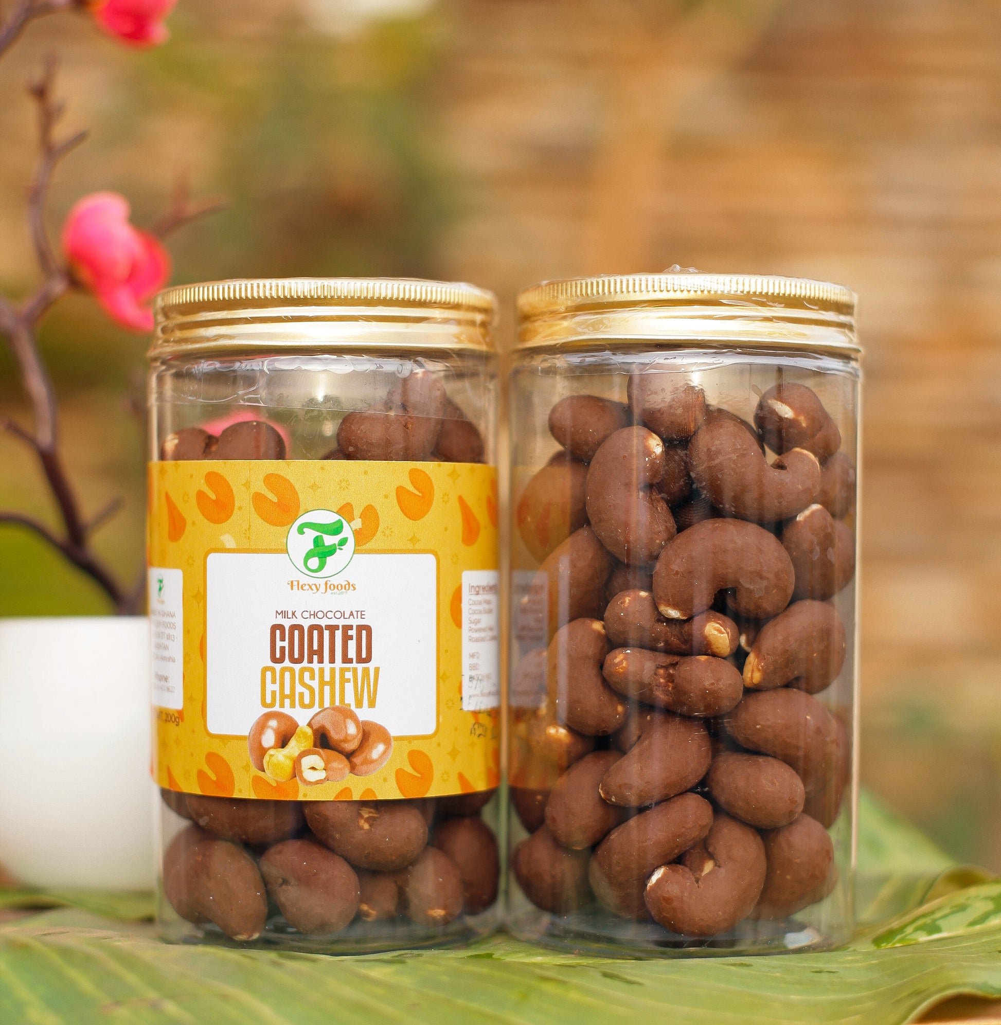 Flexy Chocolate Coated Cashew Nuts